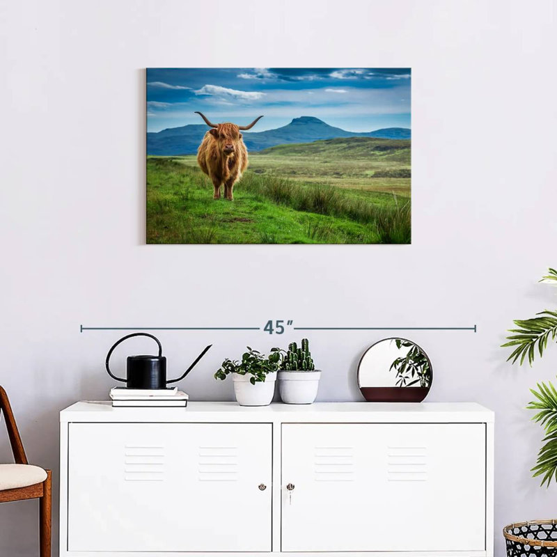 Brampt Skye Highland Cow, H 20 po x l 30 po