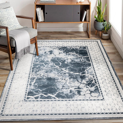 Arois Oriental Area Rug