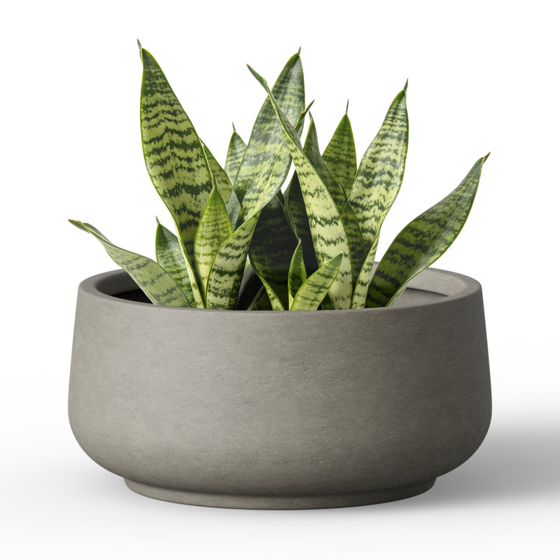 13 Inch Bowl Concrete Planter, Weather-Resistant for Patio & Garden Decor, Warm Gray, 6.69'' H X 14.17'' W X 14.17'' D