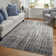 Rohon Performance Abstract Indoor Rug