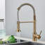 Kitchen Mixer Tap 360° Pull Out Spout Spray Mono Single Lever Brushed Gold Tap