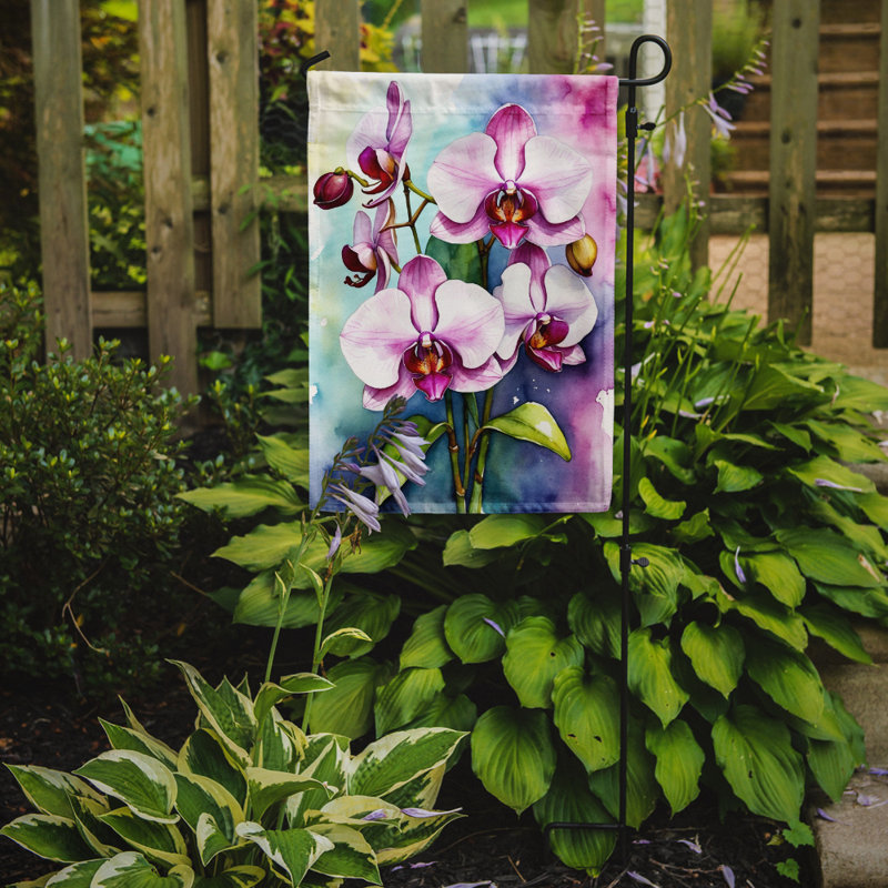 Orchidées paphiopedilum, drapeau du jardin, Orchidées phalaenopsis