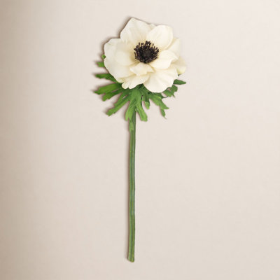 Anemone Stem