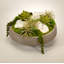 Succulent in Concrete Decorative Vase-1689855770