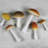 Aniayah Hand Carved Wood Mushrooms