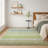 Premium Machine Washable Mayfield AMF2313 Stripes Rug-240920637-240920627