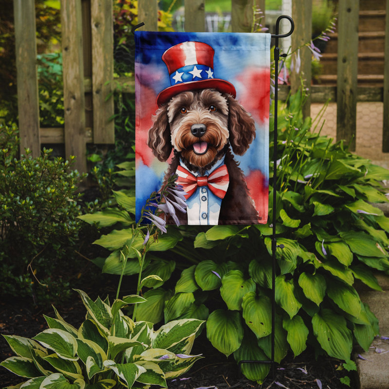 Drapeau patriotique du jardin américain, Labradoodle chocolat