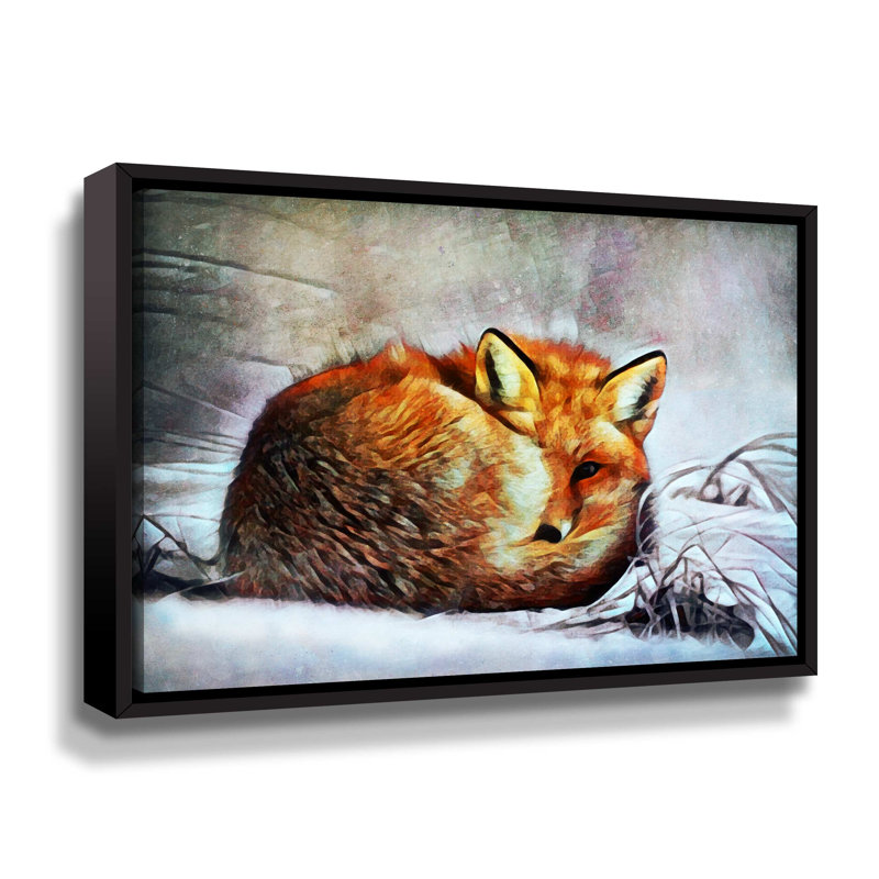 Red Fox Curl up par Aldridge - Impression sur toile, Toile encadrée noire, H 18 po x l 24 po x P 2 po