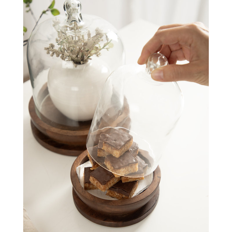 Claussen Two-Piece Glass Cloche Decor Set