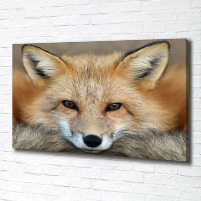 Fox - Wrapped Canvas Print