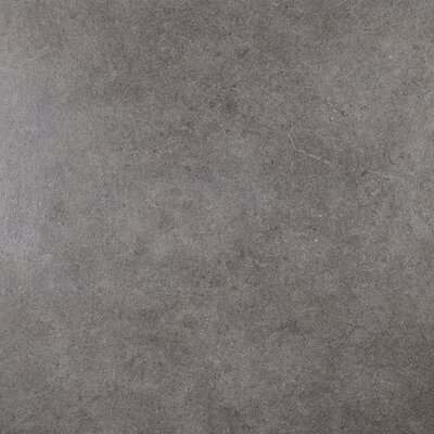 Haut Monde 24"" x 24"" Porcelain Concrete Look Wall & Floor Tile -  Daltile, HM0624241PK