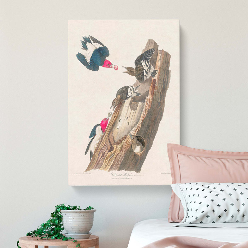 Woodpeckers by John Audubon - Wrapped Canvas, 76cm H x 50cm W x 3cm D