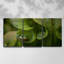 Turnabout - 3 impressions sur toile tendue-166235300