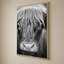 Nez de vache BW-1232874072-1232874078