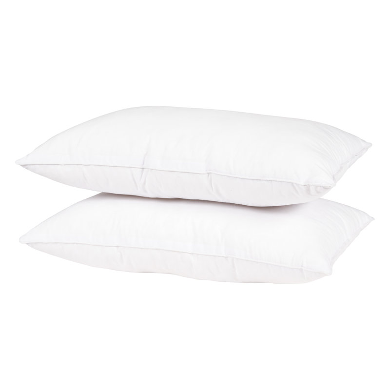 Insert de coussin Wayfair Basics® Didomenico, 12 po x 20 po