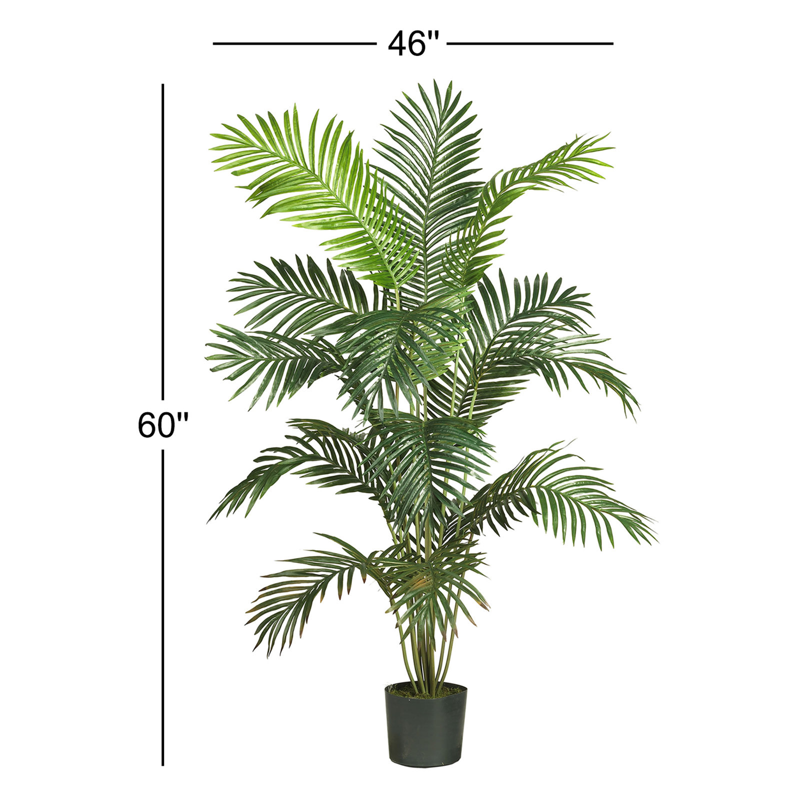 Thisbe Faux Palm Plant in Pot, 60" H x 46" W x 44" D