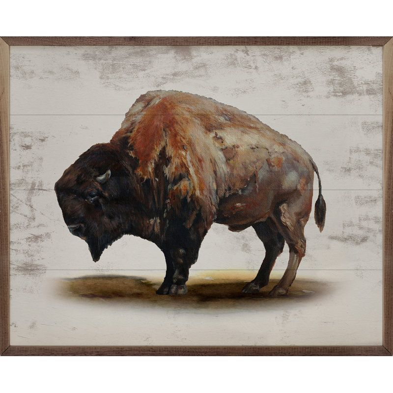North American Bison, 16" H x 20" W