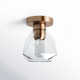 Maegan Single Light Glass Semi Flush Mount