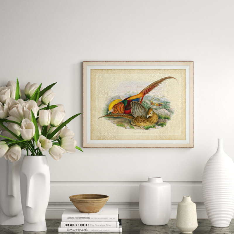 Pheasant Collection 2 Print