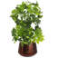 Handmade Metal Cachepot