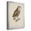 «French Owls I», impression sur papier-1832933969-1832933972