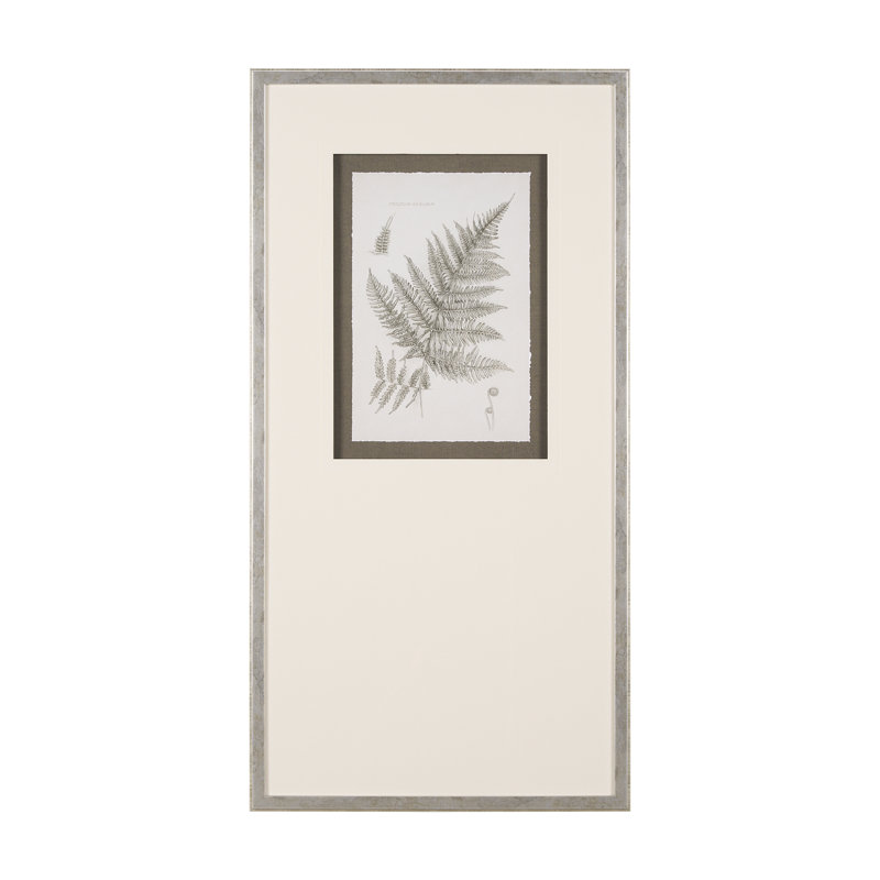 «Kingery Study III By Studio», reproduction d'art encadrée à la main avec passe-partout, 21.5L x 1.6W x 41.5H, Fern Study III