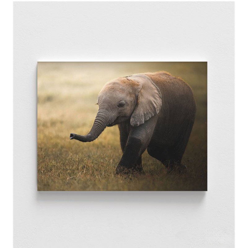 «Falafelo» par Ahmet Sobhi, reproduction de photographie de bébé éléphant, photo animalière Safari, décor de chambre de bébé éléphant sauvage