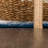 Douglass Oriental Indoor Rug-710384043