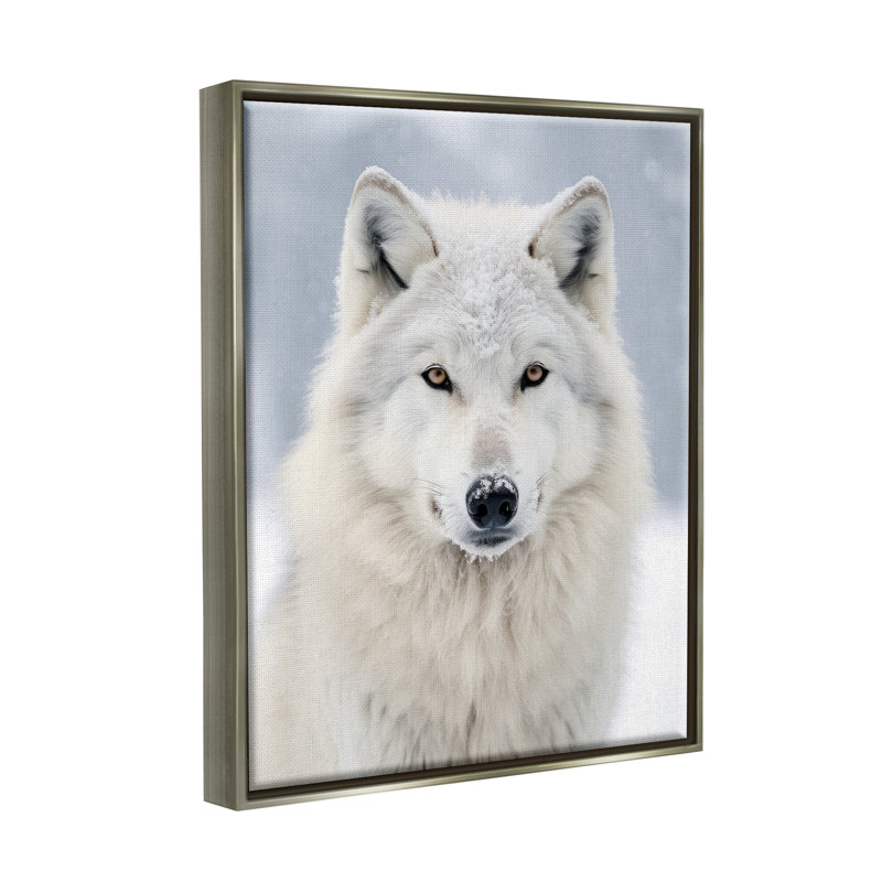 «White Wolf In Snow», reproduction encadrée sur toile par Ray Powers, H 21 po x l 17 po x P 1,7 po