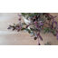 Pot à fleurs Cadarrius