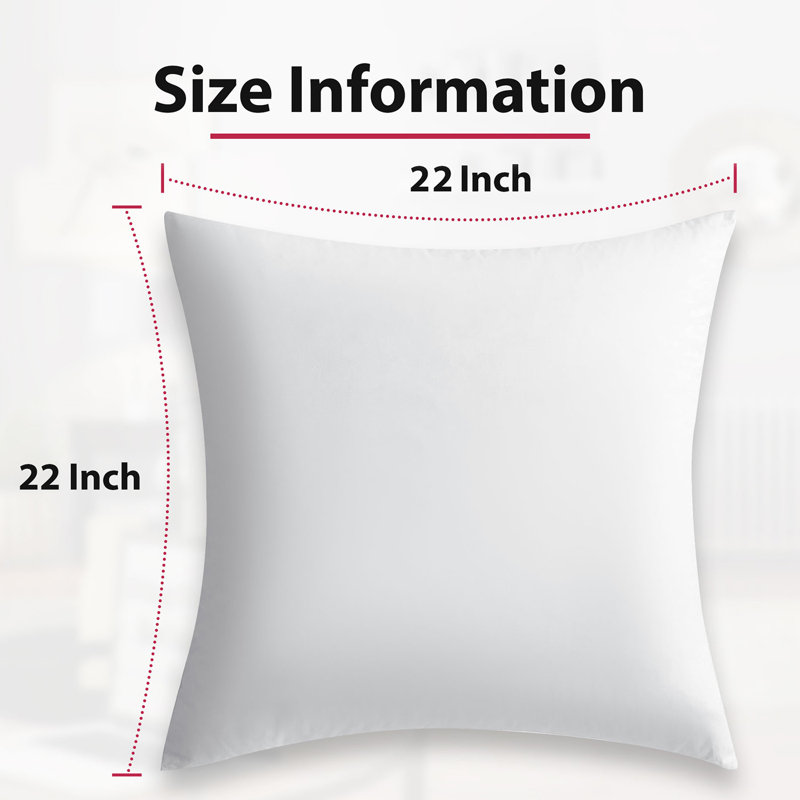 Insert de coussin extérieur Hartsburg, Carré 22 po