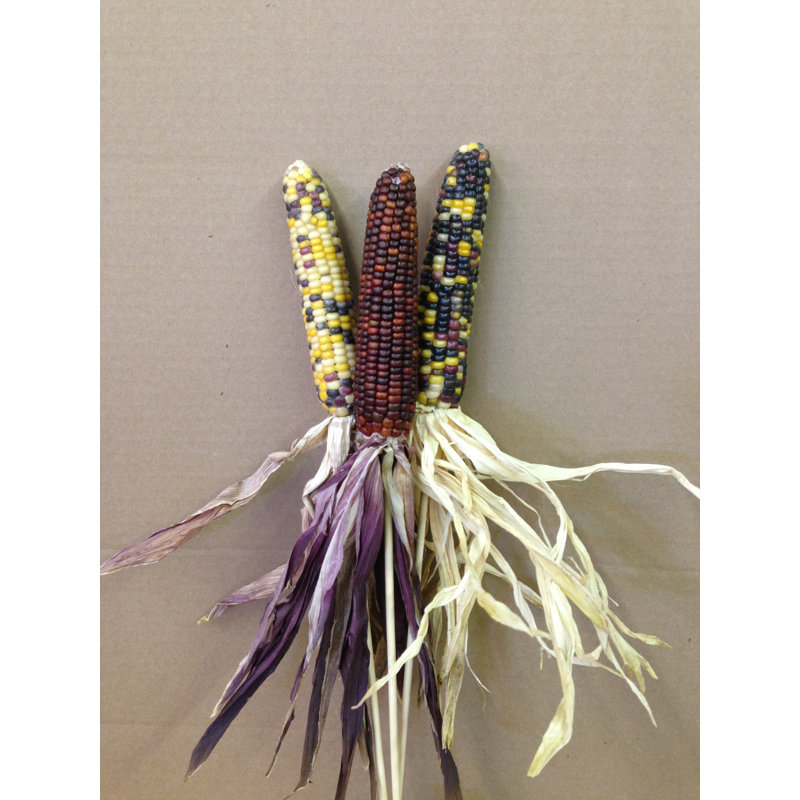 Corn Arrangement