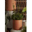 Parsons Handmade Ceramic Pot Planter-1796504434-1796504455