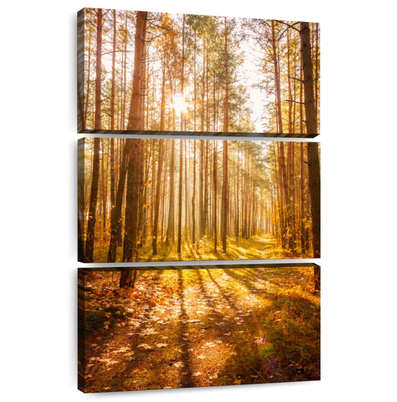 Alvord, forêt d'automne, soleil, H 57 po x l 36 po