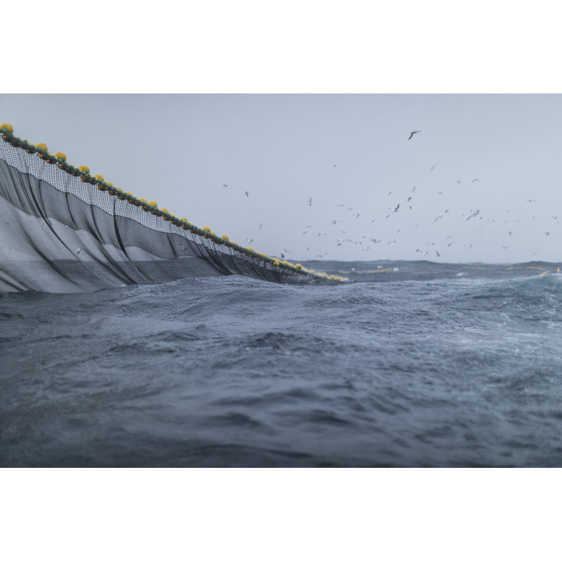 Rough Sea by Piola666