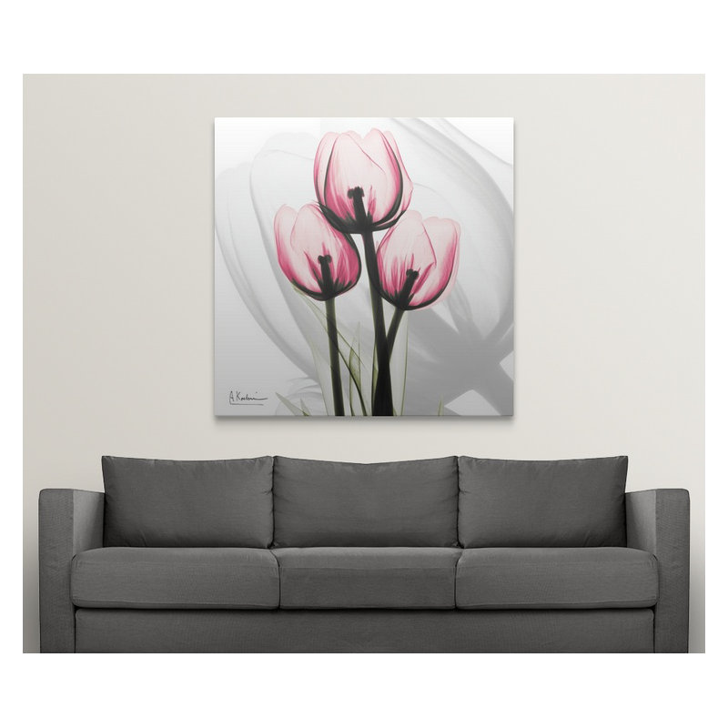 « tulipe x-ray » par albert koetsier,, reproduction de photo, H 24 po x l 24 po x P 1,5 po, Toile