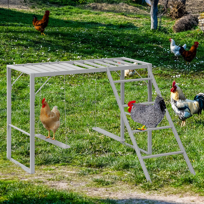 Poulet perché