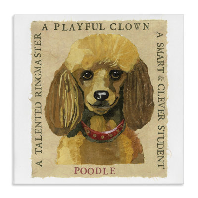 "Fun Poodle Pet", art mural sur toile par Nancy Overton