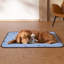 Disposable Polyester Litter Mat