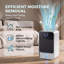 Dehumidifier