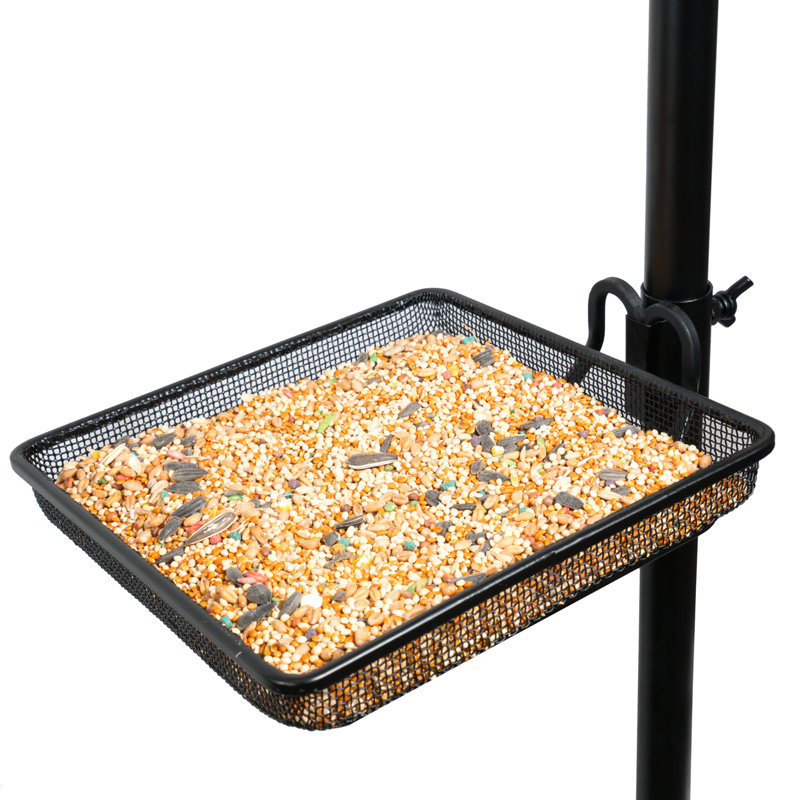 Plateau d'alimentation du plateau