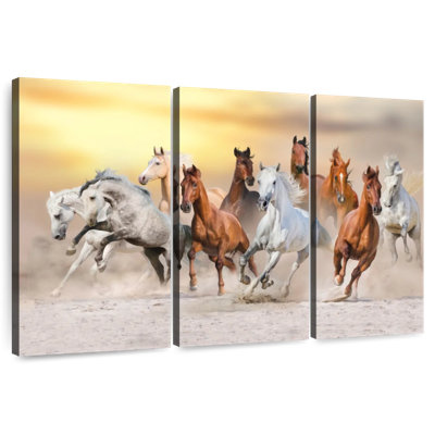 Chevaux dans le désert