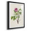«Pretty Pink Botanicals V», reproduction de cadre photo-772318035-772318028