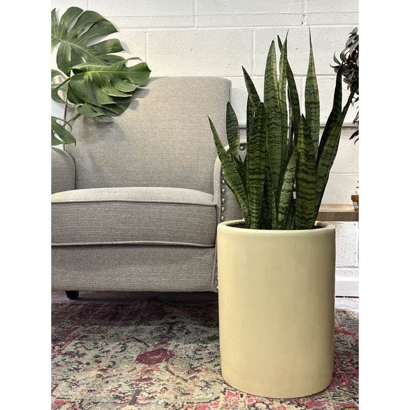 Pot à fleurs en céramique Hailee, Crème