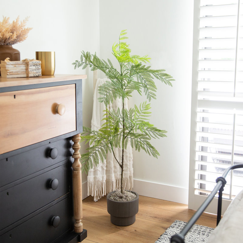 Artificial Minimalist Jacaranda Tree, 60" H x 27" W x 27" D