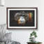 Orangutan Monkey Vol.1 - Picture Frame Painting-62808689-62808690