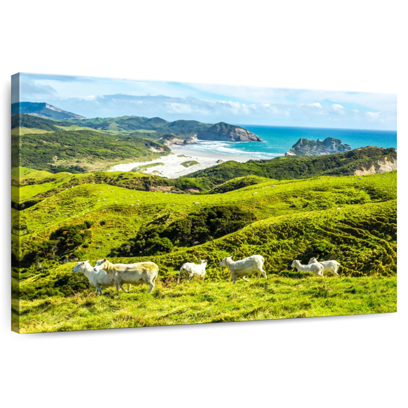 Mouton Alvord Southern Island, H 8 po x l 12 po