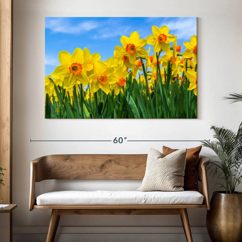 Jonquilles d'été Harnek, H 34 po x l 51 po
