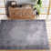 Dicken Oriental Indoor Rug