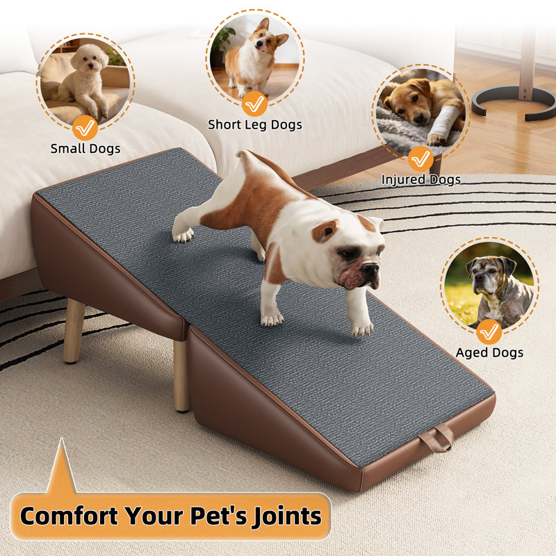 Rampe pour chien convertible 2-en-1, angle 23 ° avec surface antidérapante